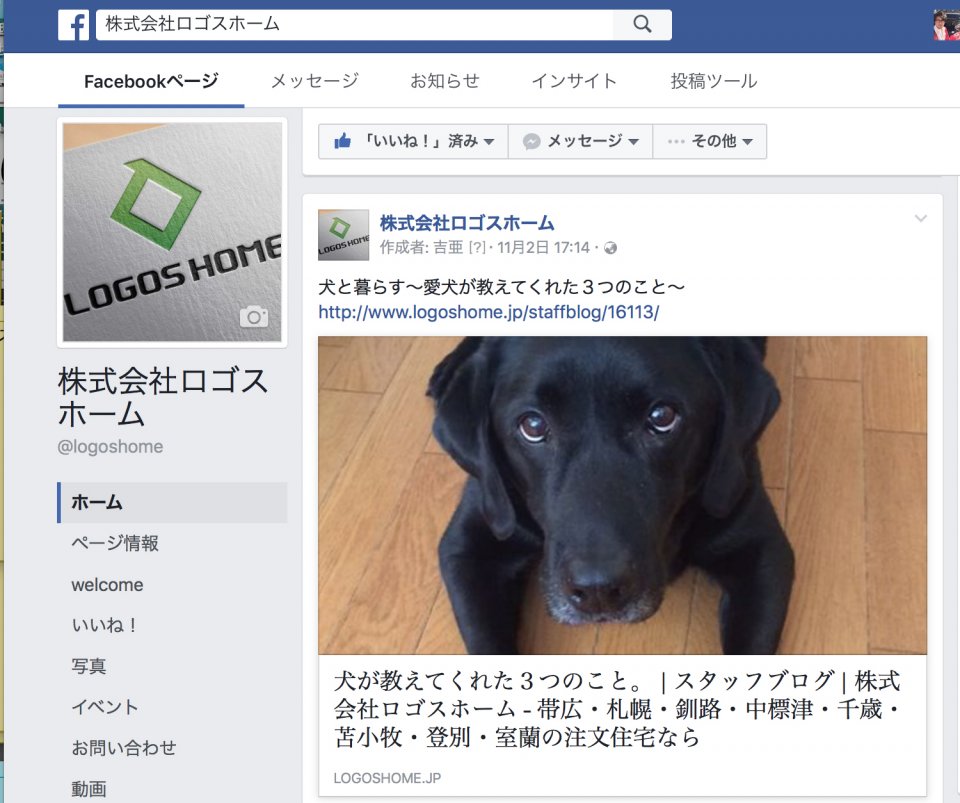 ラブラドールと暮らす家。  お家についてのお役立ち住宅ブログ｜株式 