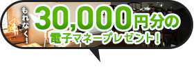最大5,000円分電子マネープレゼントキャンぺーン開催中