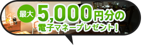 最大5,000円分電子マネープレゼントキャンぺーン開催中