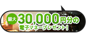 最大5,000円分電子マネープレゼントキャンぺーン開催中