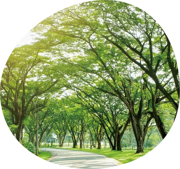 調和 イメージ