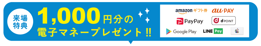 電子マネープレゼント!