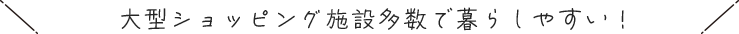 大型ショッピング施設多数で暮らしやすい！