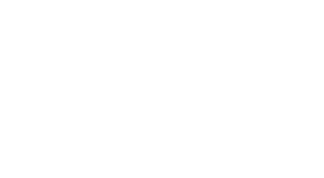 スタイリクス