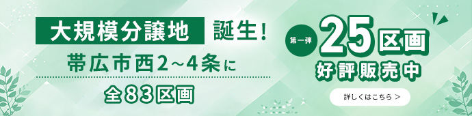 大規模分譲地誕生！
