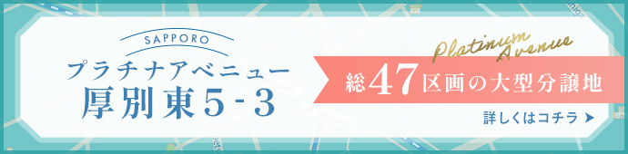 プラチナアベニュー厚別東5-3