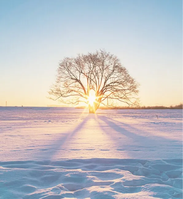 コンセプト イメージ