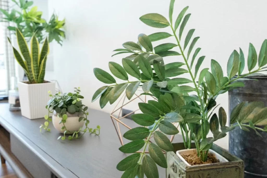 【観葉植物と暮らす、北欧ヴィンテージの家】宇都宮市鶴田町｜オーナー様邸見学会開催！