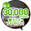 最大5,000円分電子マネープレゼントキャンぺーン開催中